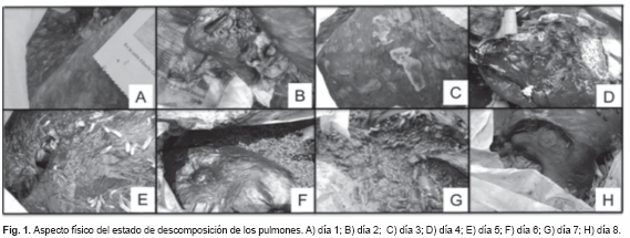 art07fig1