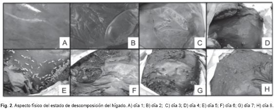 art07fig2
