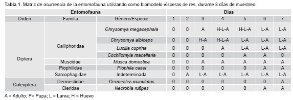 art07tab1