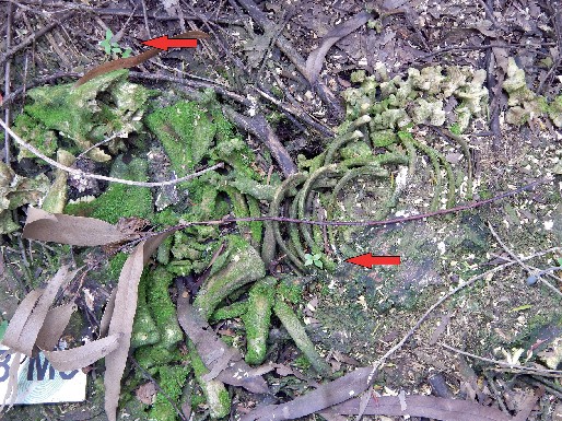 art18 fig02