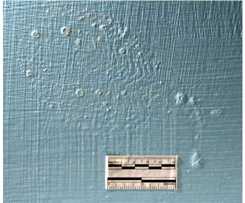 experimental detection of blood under painted surfaces fig2