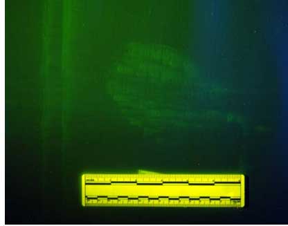 experimental detection of blood under painted surfaces fig5